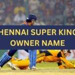 Chennai Super Kings Owner Name, CSK Team Captain Name